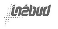 InżBud